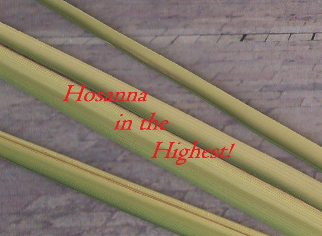 Hosanna in the HIghest