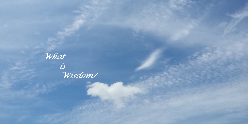 What is Wisdom