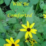 You Will Be Comforted