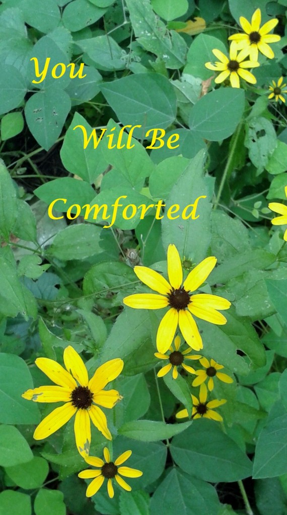 You Will Be Comforted